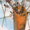 thumb3